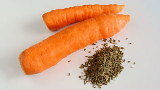 Karotten-Som vun Kascht